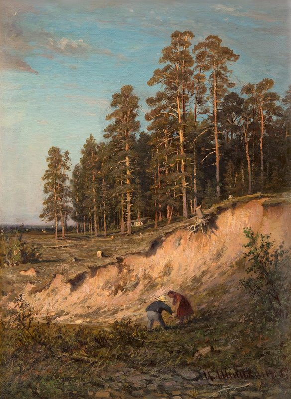 ШИШКИН И.И. У леса. 1883