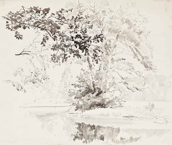  Matvey good tree near the pond . Alabino . 1925 